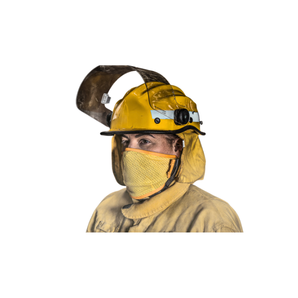 Fair Air Mask