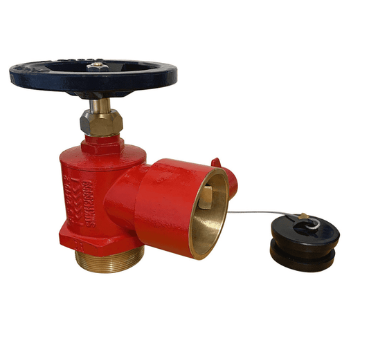 BIC Hydrant Landing Valve BSP Male Inlet image 0