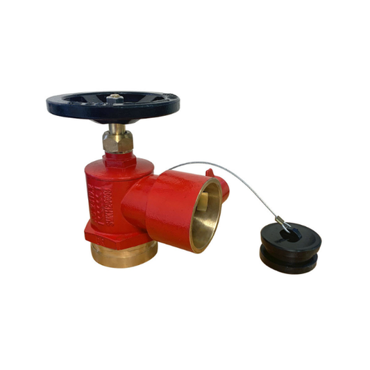 BIC Hydrant Landing Valve RG/BSP Female Inlet